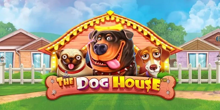 Tips Rahasia Menemukan Pola Spin Slot The Dog House Tips Rahasia Menemukan Pola Spin Slot The Dog House